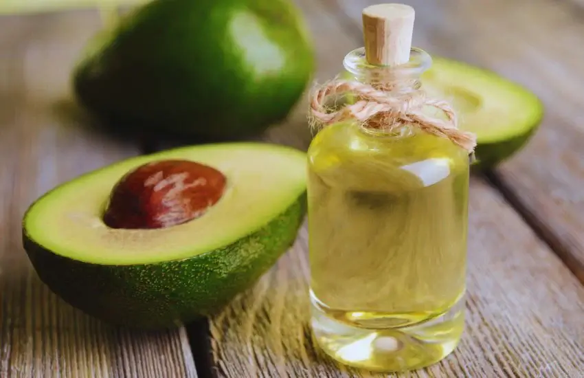 can cats eat avocado oil?