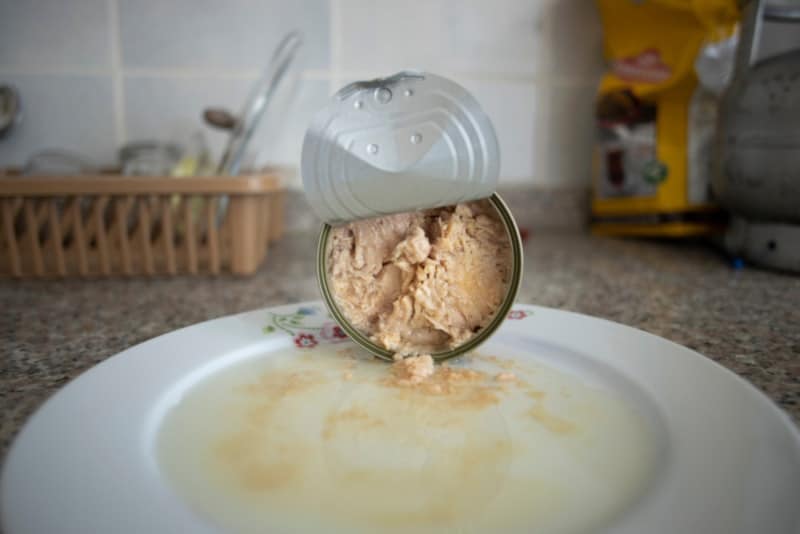 can cats eat canned tuna in water?