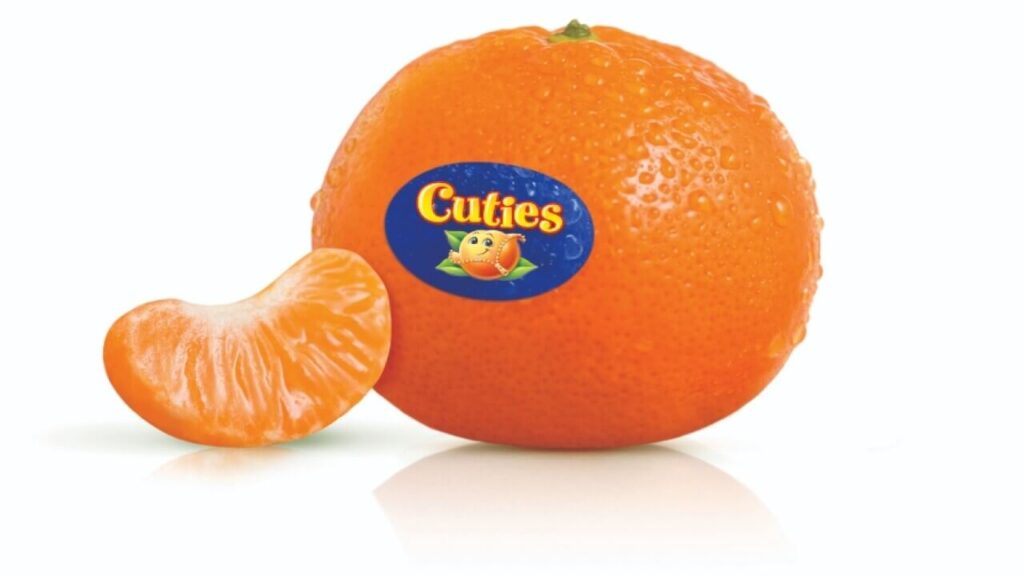 Can cats eat cutie oranges?