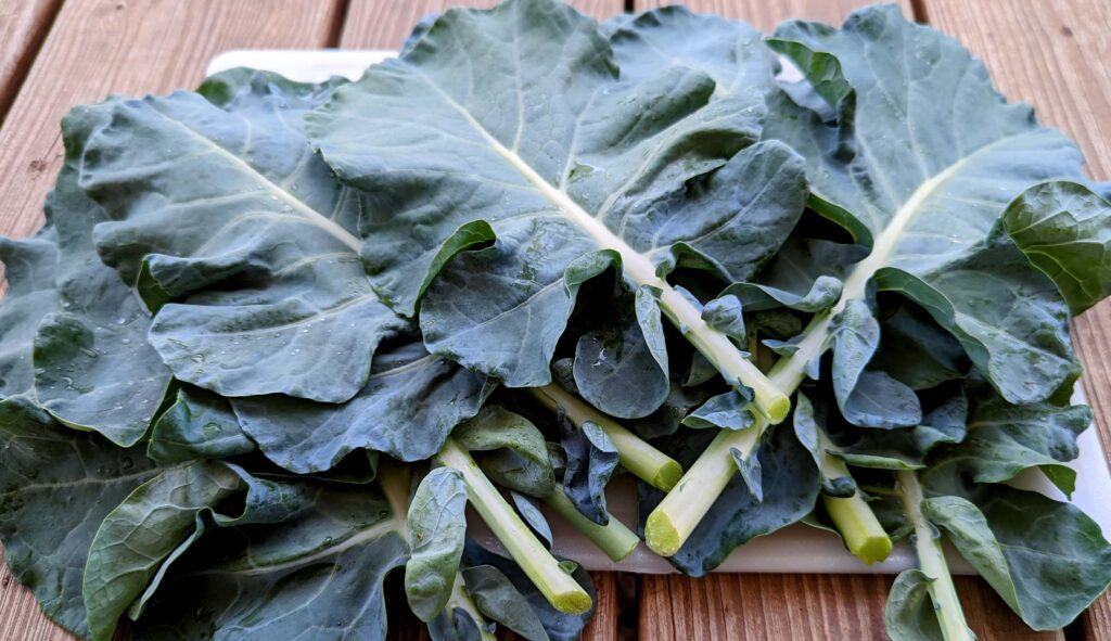 can cats eat broccoli leaves?