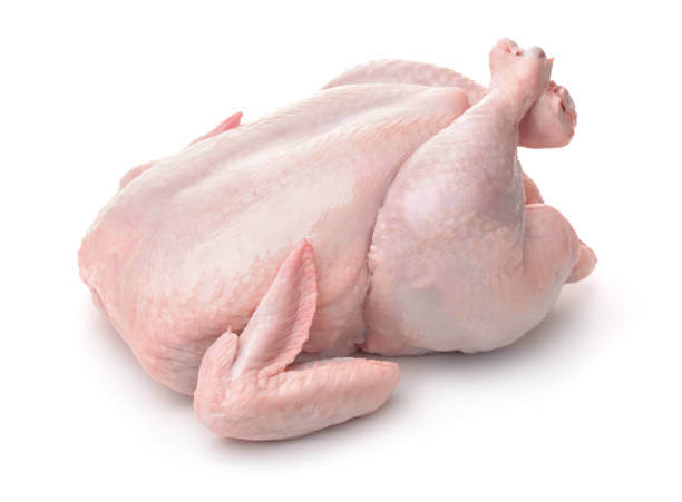 can cats eat raw turkey?